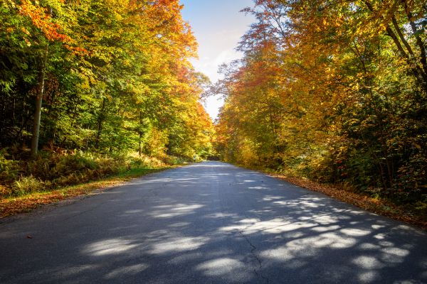 Blacktop Replacement in Matthews